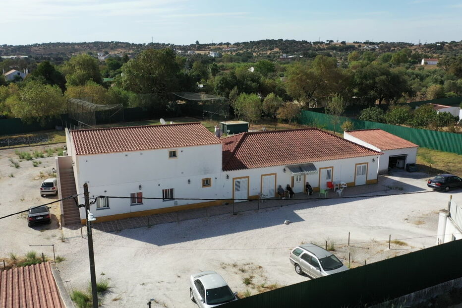 Lar ilegal da Quinta da Sizuda com surto ativo de Covid-19: há 39 casos