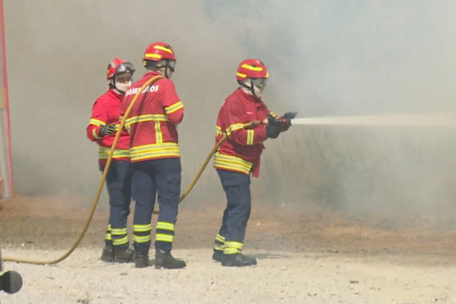 Incêndio de Proença-a-Nova alastra a mais dois concelhos
