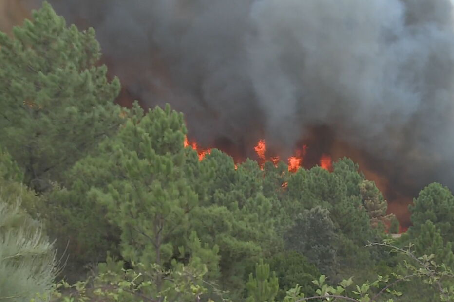 Incêndio de Proença-a-Nova alastra a mais dois concelhos