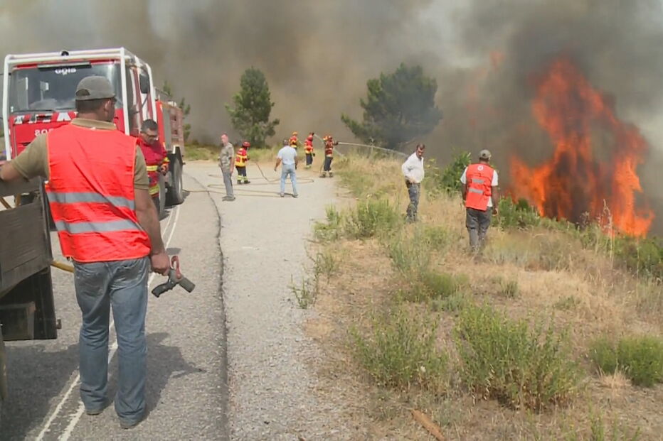 Incêndio de Proença-a-Nova alastra a mais dois concelhos