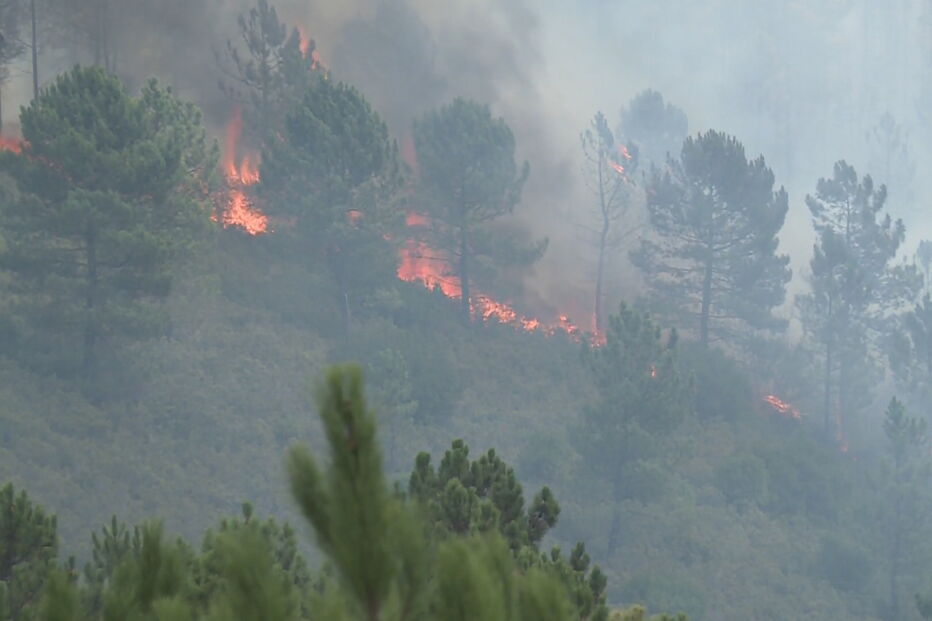 Incêndio de Proença-a-Nova alastra a mais dois concelhos
