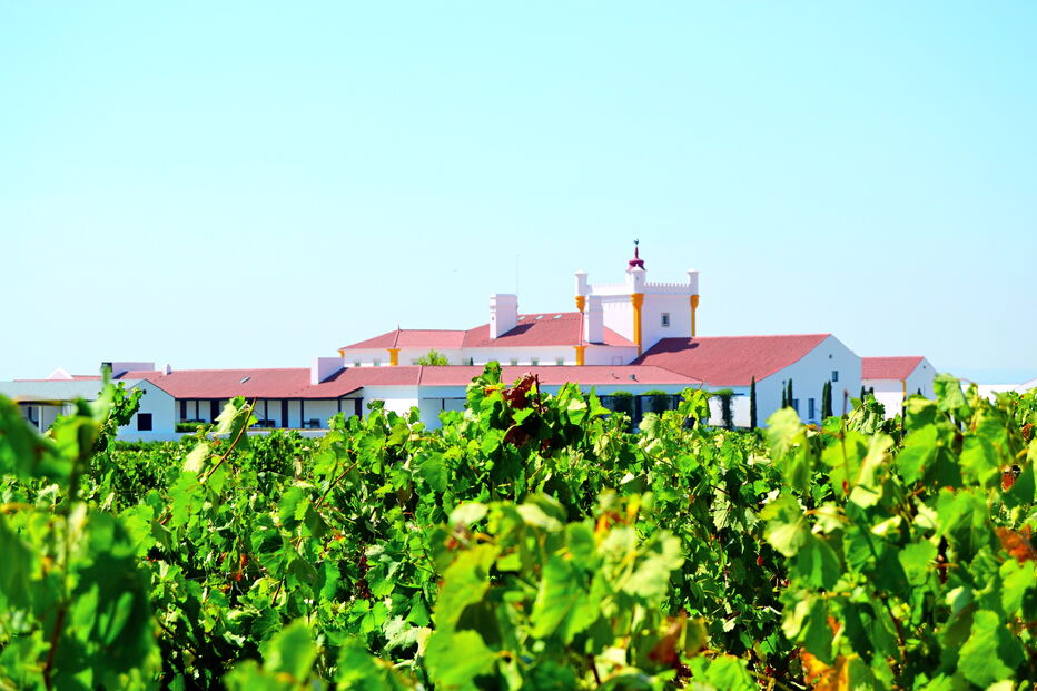 Torre de Palma Wine Hotel, em Monforte