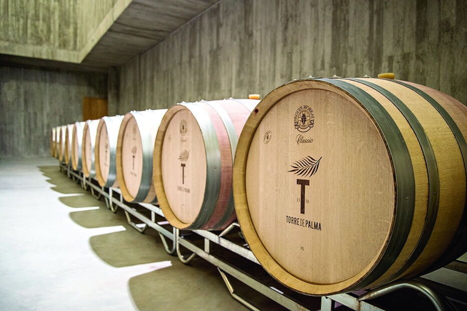 Torre de Palma Wine Hotel, em Monforte