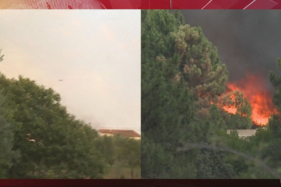 2020-09-14_19_21_43 01BA5EFD.jpg