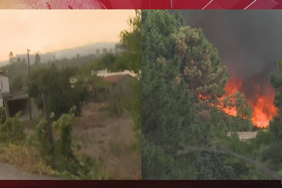 2020-09-14_19_21_44 01BA5F44.jpg