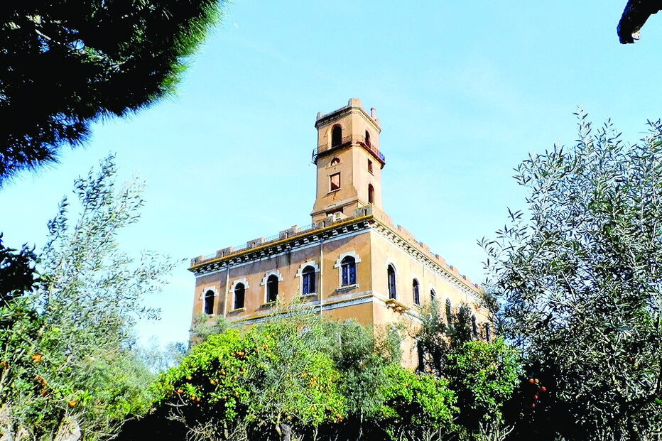 Imagem Castelo do rei do Lixo  14700395.jpg (6949819) (Milenium)