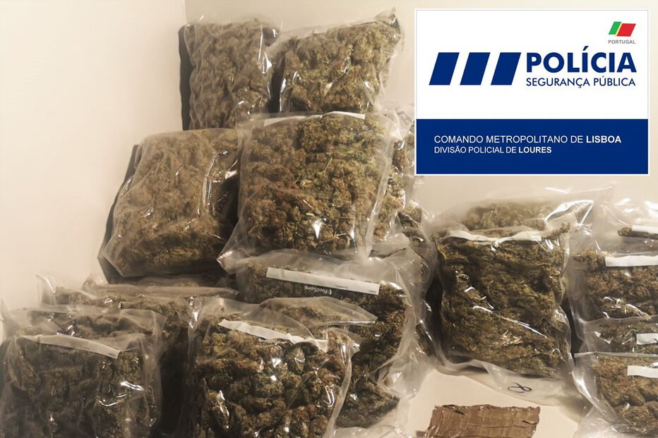 Imagem ANEXO CI Nº 480.JPG (6949284) (Milenium)