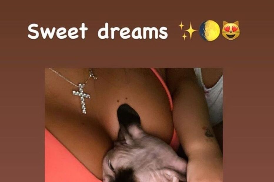 Georgina Rodríguez e o gato