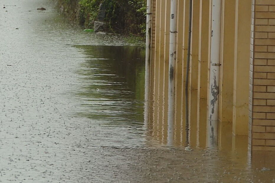 Proteção Civil regista 124 ocorrências 