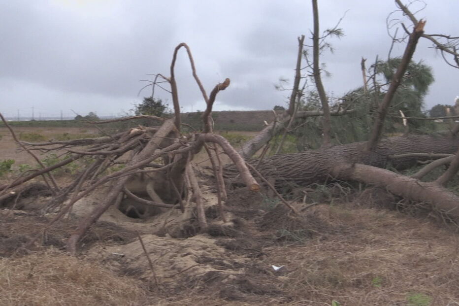 Mau tempo causa estragos de Norte a Sul