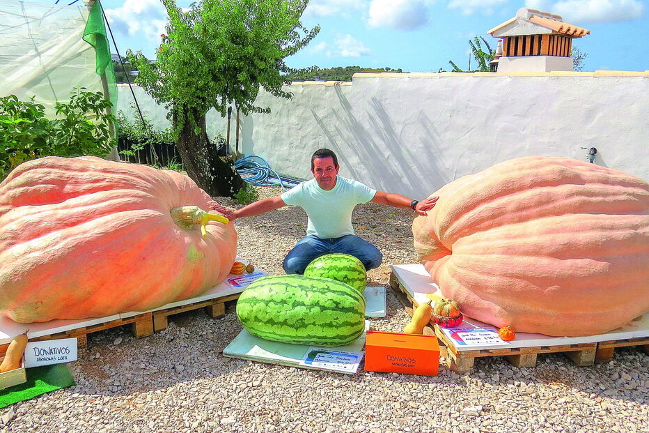 José Santos junto às abóboras e melancias premiadas, que estão em exposição dentro da sua propriedade  