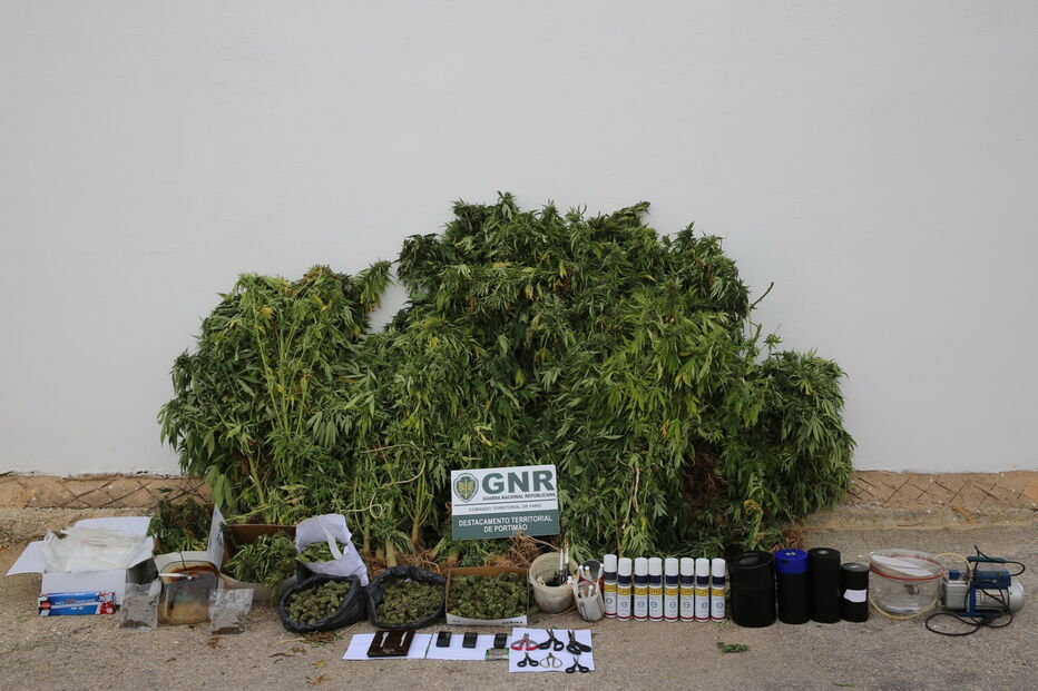 Imagem A2-36314610 (7065638).jpg (Milenium)