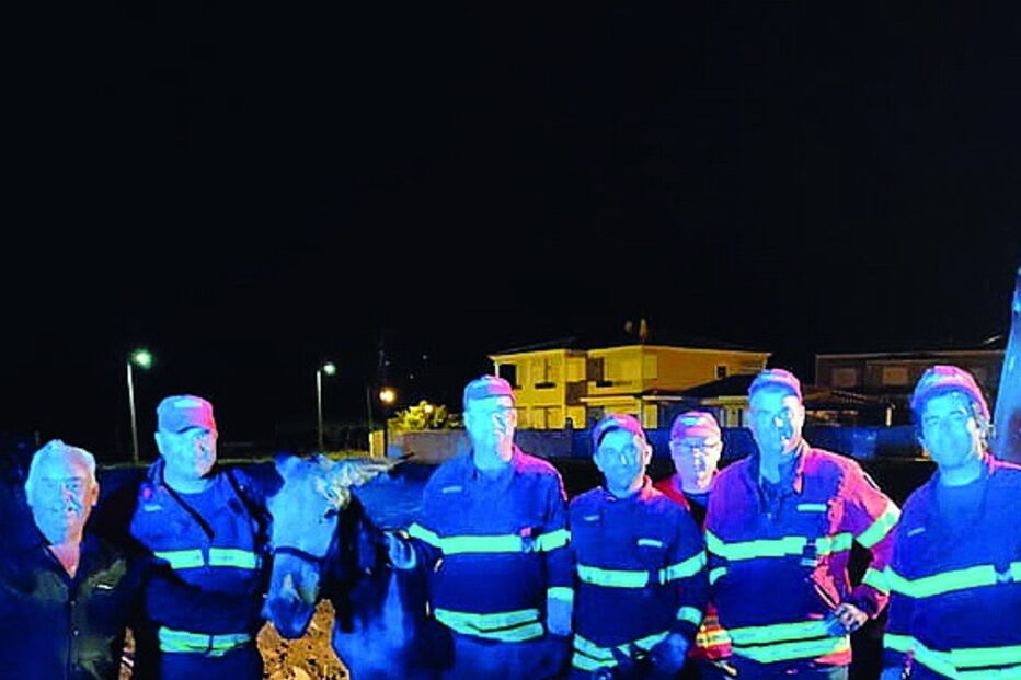 Bombeiros salvam burro preso em vala na EN125 em Lagos