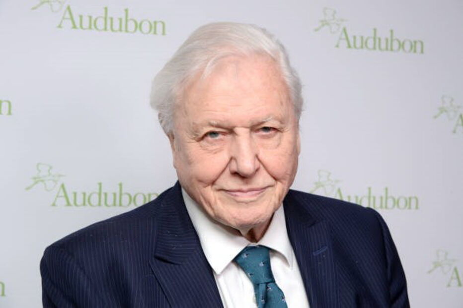 David Attenborough