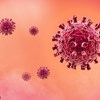 Descoberto anticorpo contra o coronavírus mais 