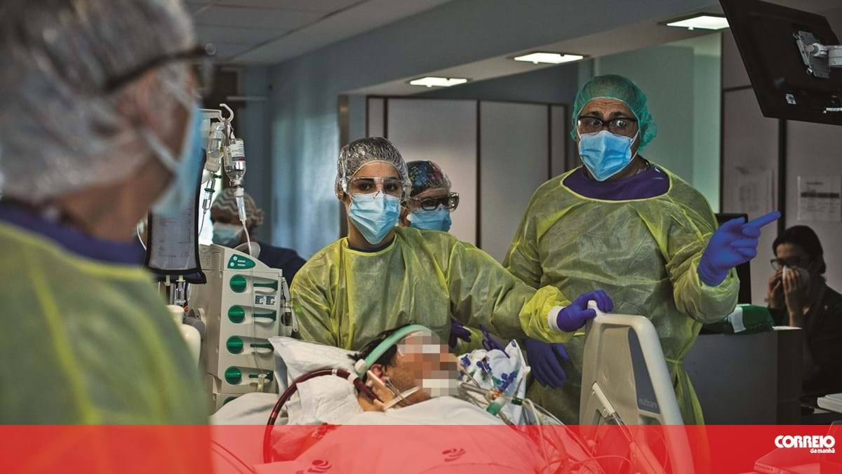 Equipa de Coimbra em estudo internacional que desvenda envelhecimento do coração