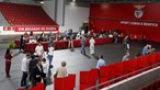 Benfica equaciona adiamento das eleições