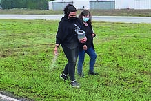 Imagem CINZAS 1.JPG (7244745) (Milenium)