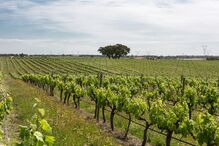 2020-10-12_10_37_56 TEXTO 1 Foto 3a.jpg