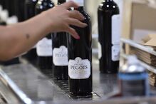 2020-10-12_10_42_52 TEXTO 1 Foto 4.jpg