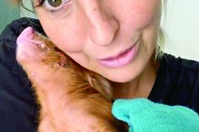 Jessica Athayde mostra o porco Tomás