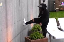 André Filipe no 'Big Brother'