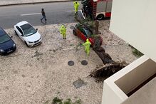 Árvore cai em cima de carro em Setúbal 