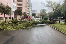 Imagem IMG_7297.JPG (7460125) (Milenium)