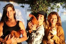 Inês Castel-Branco entre as estrelas convidadas por Margarida Vila-Nova para reunião de amigas no Alentejo. Maria João Bastos, Madalena Brandão, Cleia Almeida e Diana Costa e Silva também marcaram presença 