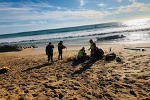 Imagem PHOTO-2020-10-28-17-22-09 (1).JPG (7590737) (Milenium)