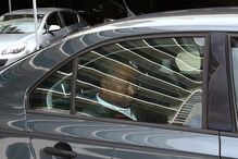 Imagem PEC_2164.JPG (7619162) (Milenium)