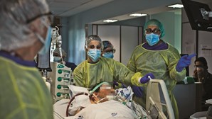 Médicos de família pedem revisão urgente da organização do combate à pandemia