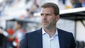 João Henriques confirmado como novo treinador do V. Guimarães