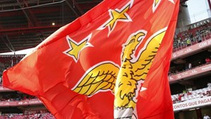 Quatro listas concorrem às eleições do Benfica