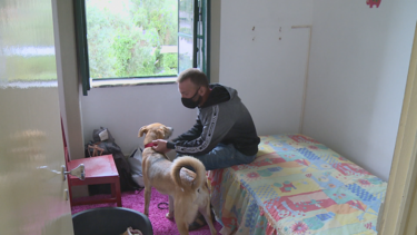 Luís abdicou do alojamento que a Segurança Social disponibilizou para não abandonar a cadela