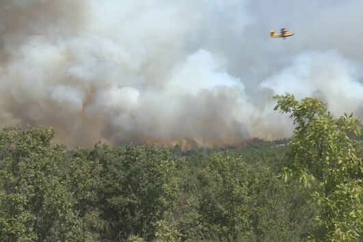 Incendiário de 71 anos detido pela Judiciária