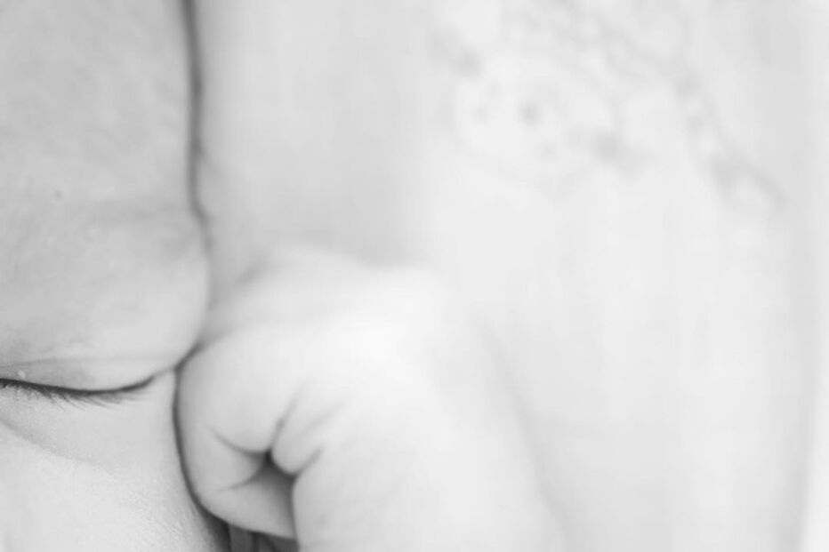 O pequeno Xavier.jpg