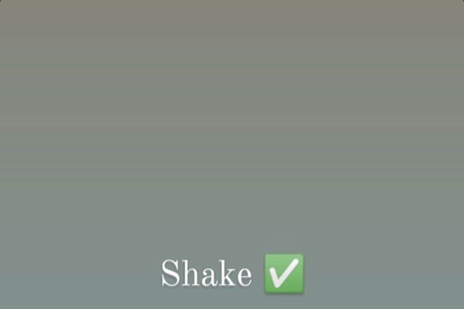 Co-piloto espanhola de 21 anos morre em acidente no Rali do Vidreiro na Marinha Grande