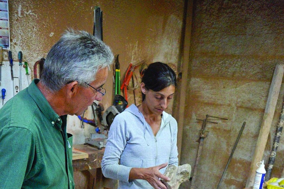 Imagem Figura 2 copy.jpg (7313477) (Milenium)