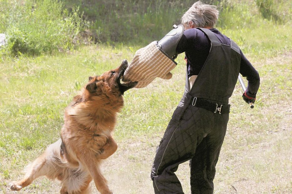 Imagem Abertura 36541875.jpg (7313829) (Milenium)