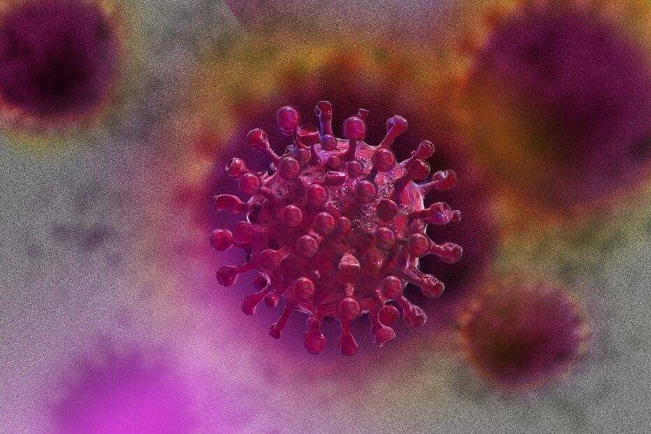 coronavirus virus