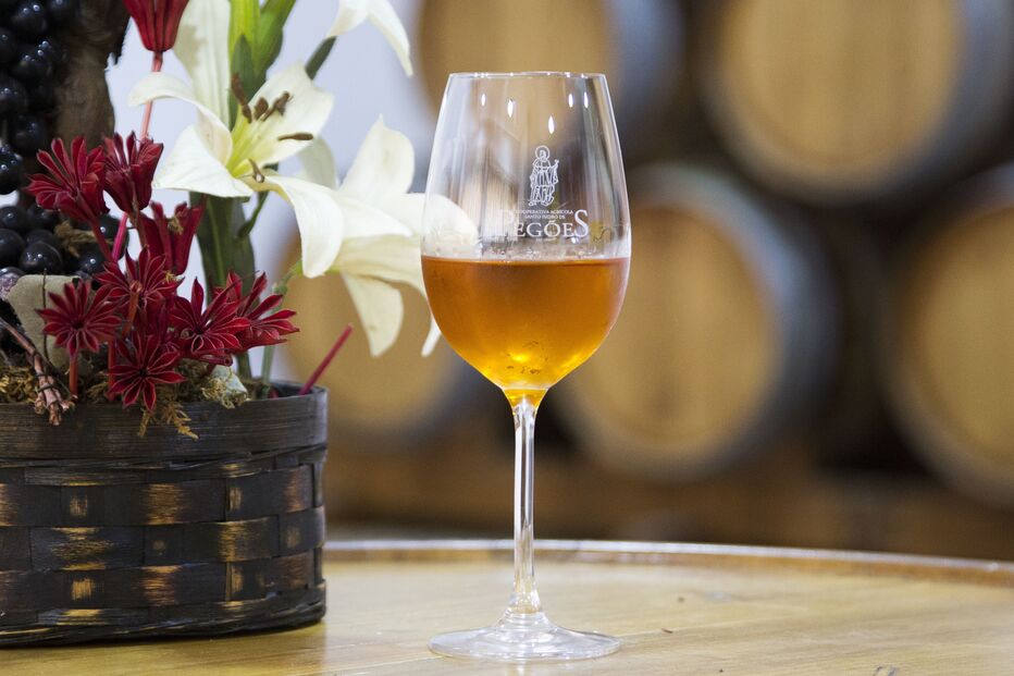 2020-10-12_10_43_56 TEXTO 1  Foto 5.jpg