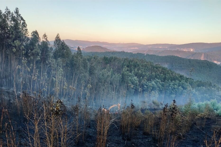 Dois bombeiros feridos em despiste a caminho de incêndio em Oliveira de Azeméis