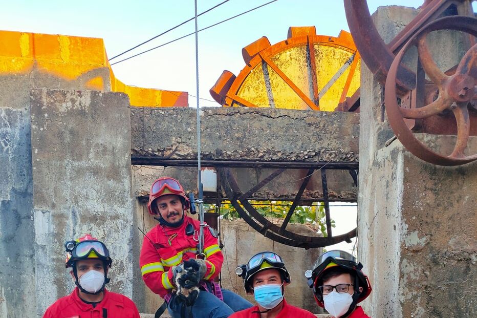 Imagem A2-36640253 (7417207).jpg (7417005) (Milenium)