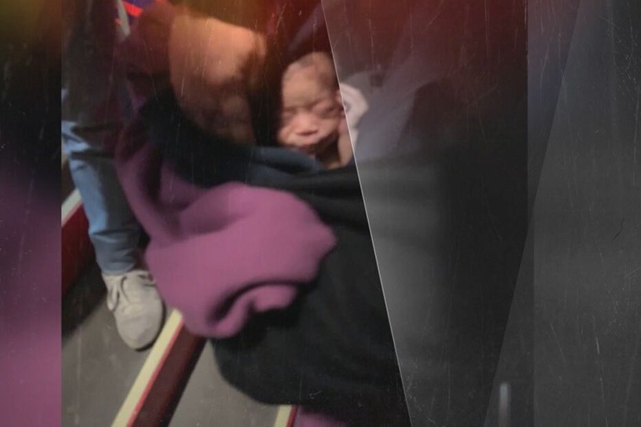 Conheça a história de vida de Sara Furtado