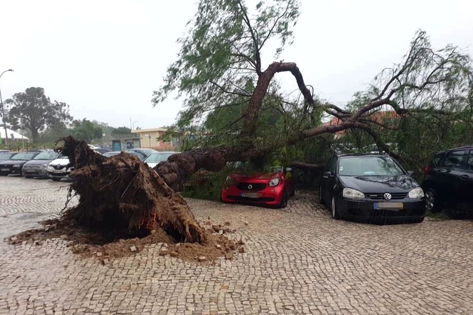 Imagem CMTV_FRAME_2020-10-20-16H35M48S018.JPG (7460127) (Milenium)