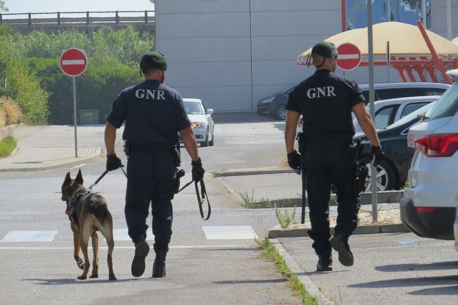 Imagem IMG_6202.JPG (7534215) (Milenium)