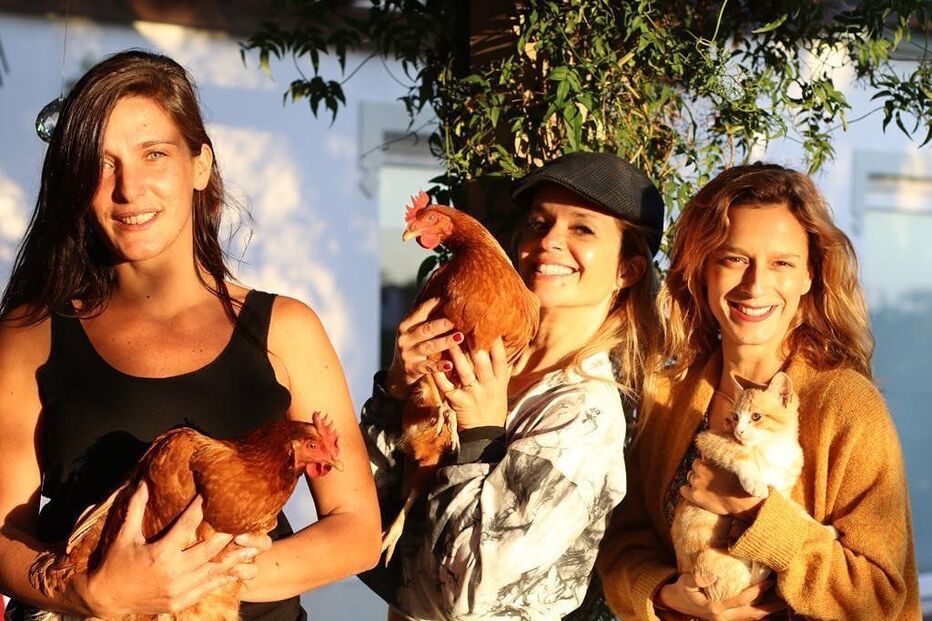 Inês Castel-Branco entre as estrelas convidadas por Margarida Vila-Nova para reunião de amigas no Alentejo. Maria João Bastos, Madalena Brandão, Cleia Almeida e Diana Costa e Silva também marcaram presença 