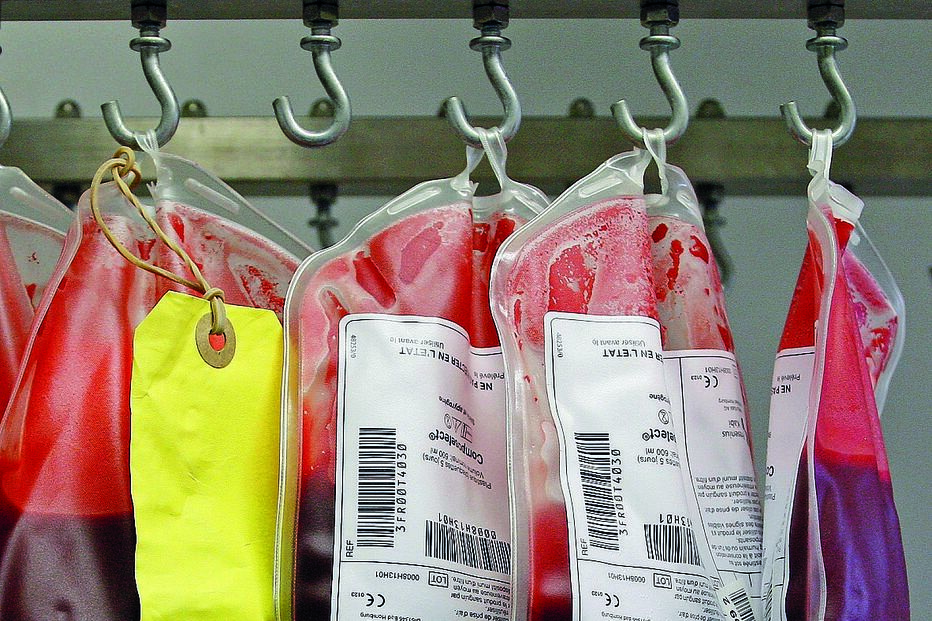 Podem dar sangue portugueses saudáveis com mais de 18 anos e 50 quilos 