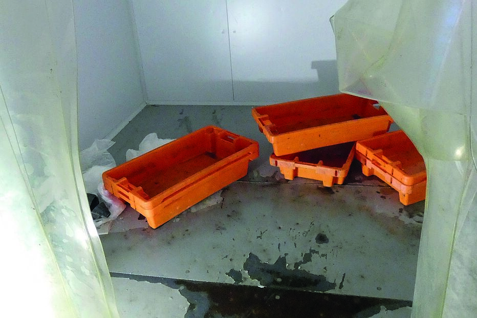 Arca frigorífica onde estava armazenado o polvo que foi furtado da lota